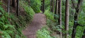 Hiking trail.
